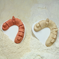 Dentalgips Typ 4